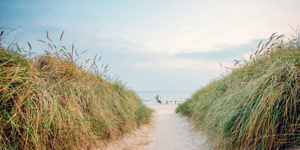 Strandlandschaften