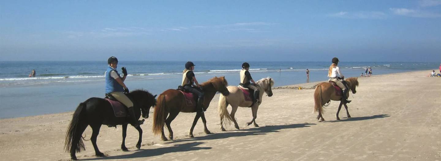 Pferde am Strand