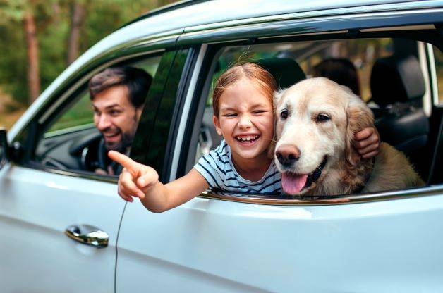Balade en voiture avec chien et enfant Famille en voiture, enfant pointant par la fenêtre, chien à côté de l'enfant