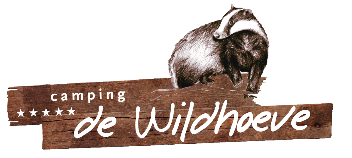 Fietsen op de Veluwe – langs het water, door bos en heide