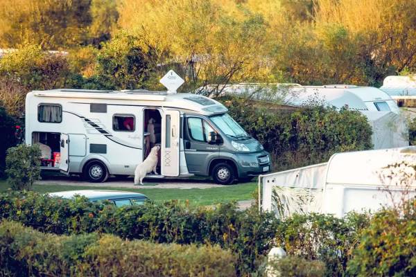 Camper parcheggiato in un campeggio con un cane che guarda fuori dalla porta