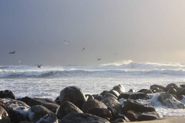 Luftaufnahme des Hvidbjerg Strand Ferieparks mit Gebäuden, Strand und Menschen.