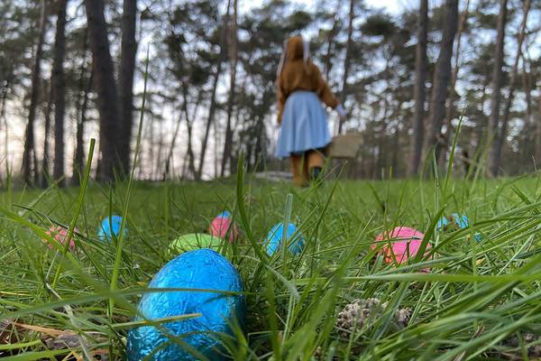 Vue aérienne du Camping De Paal avec tentes et caravanes.