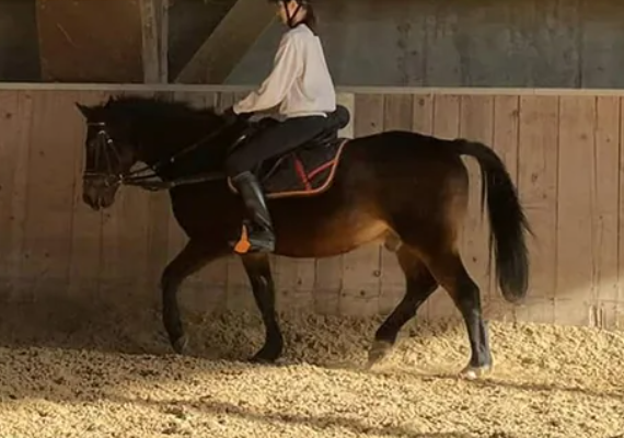 Vista aerea del campeggio Holmernhof Dreiquellenbad con piscina e molte tende.