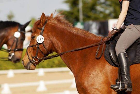 Vista aerea del Camping Village L'Oceano Bretone con piscine, scivoli e edifici.