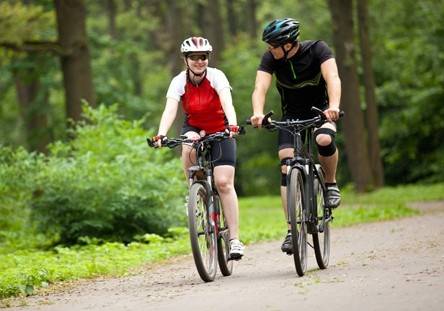 Fietsen op de Veluwe – langs het water, door bos en heide