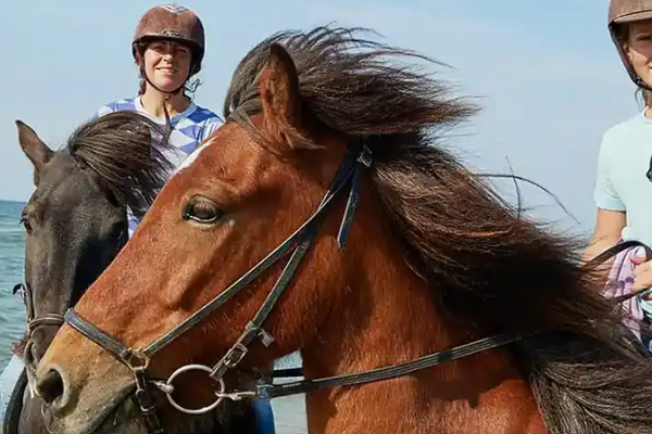 Vista aerea del campeggio Hvidbjerg Strand Feriepark con edifici, spiaggia e persone.