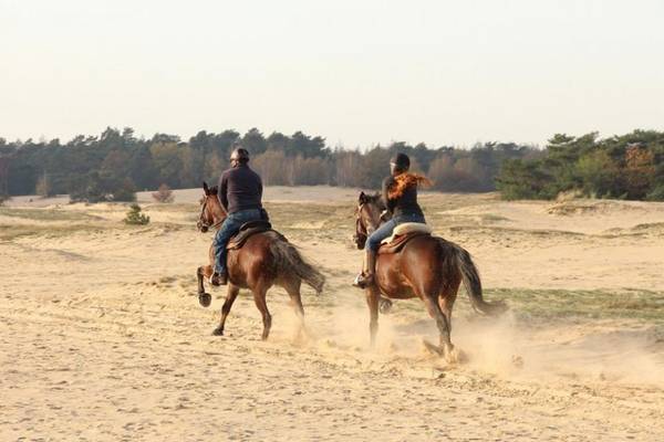 Vista aerea di un campeggio con un parco giochi e edifici circostanti.