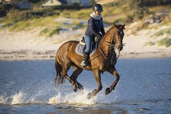 Equitazione