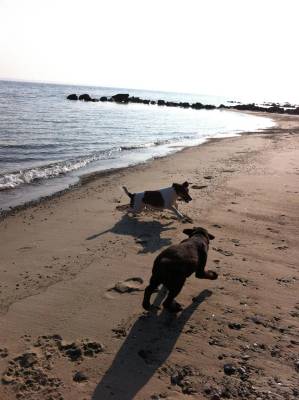 Luftaufnahme des Ostseecamping Heide Campingplatzes mit vielen Wohnwagen und Strand