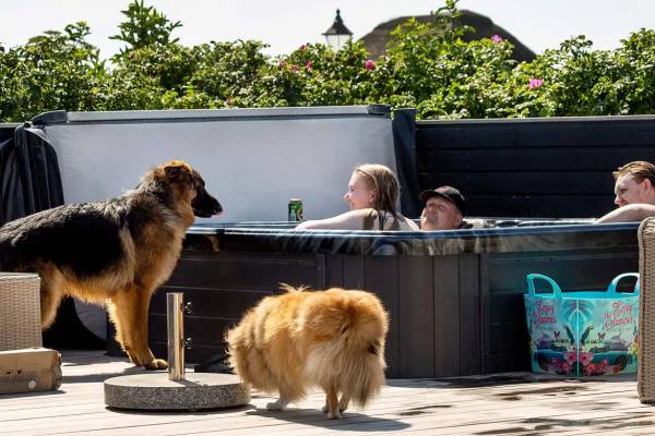 Chiens dans un spa de jardin Vue aérienne du camping Hvidbjerg Strand Feriepark avec des bâtiments, une plage et des personnes.