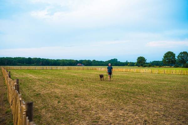 Uomo che cammina con un cane in un campo recintato al campeggio Papillon Country Resort.