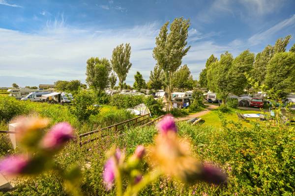 Campingplatz Wulfener Hals mit Campern und Mobilheimen unter Bäumen.