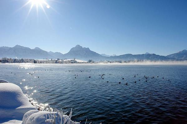 Camping Hopfensee Winter Schwan