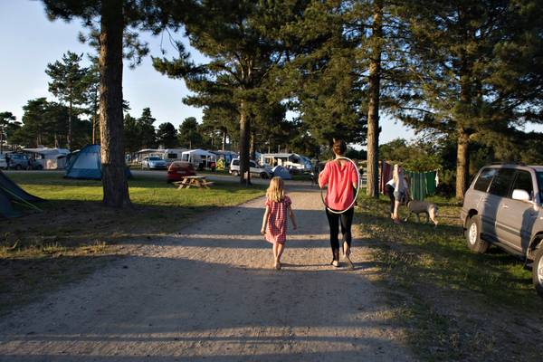 Una familia camina por un camino de tierra en el camping Feddet Strand Resort con tiendas de campaña y coches al fondo.