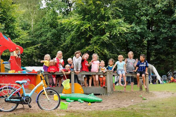 Kinderen op een speeltuin in Camping De Wildhoeve, omgeven door groen en een fiets.
