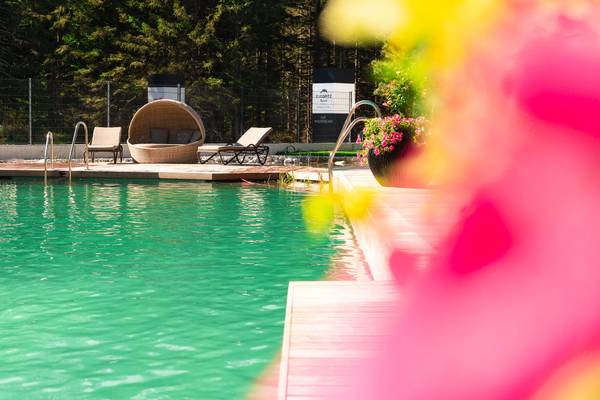 Außenpoolbereich im Zugspitz Resort Campingplatz mit Liegestühlen und einer dekorativen Pflanze.