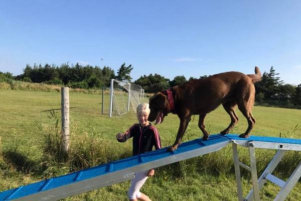 Kleines Mädchen und Hund auf einer Rampe im Campingplatz