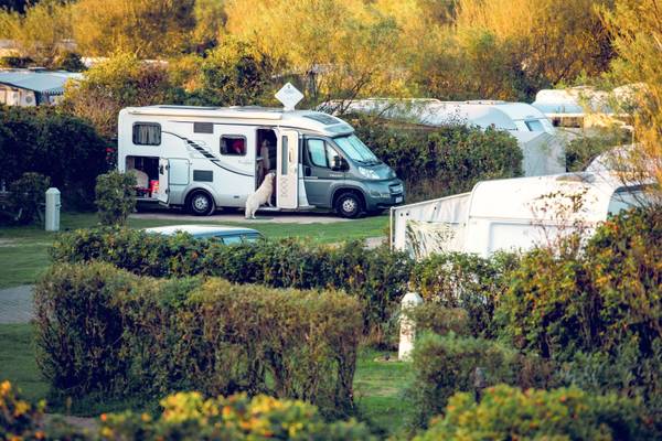 Ein Wohnmobil steht auf einem Campingplatz mit einem Hund, der aus der Tür kommt.