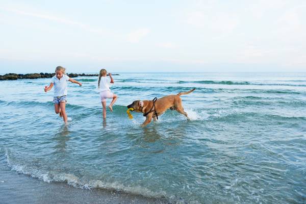 Zwei Mädchen und ein Hund am Strand von Hvidbjerg Strand Feriepark