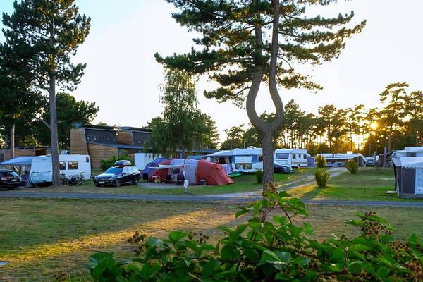 Campamento Feddet Strand Resort con tiendas y vehículos al atardecer.
