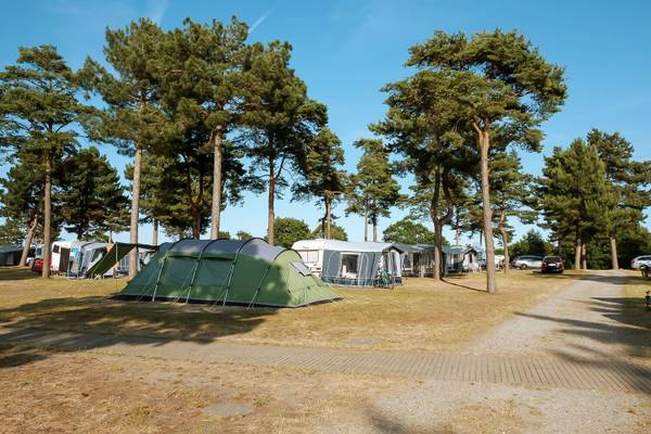 Campamento Feddet Strand Resort con tiendas y árboles en un día soleado