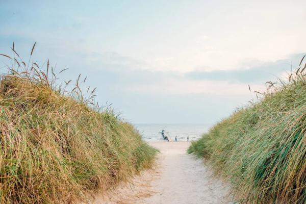 Sti til stranden med højt græs på begge sider på Hvidbjerg Strand Feriepark
