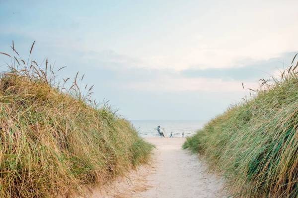 Ein Weg im Hvidbjerg Strand Feriepark zum Strand.