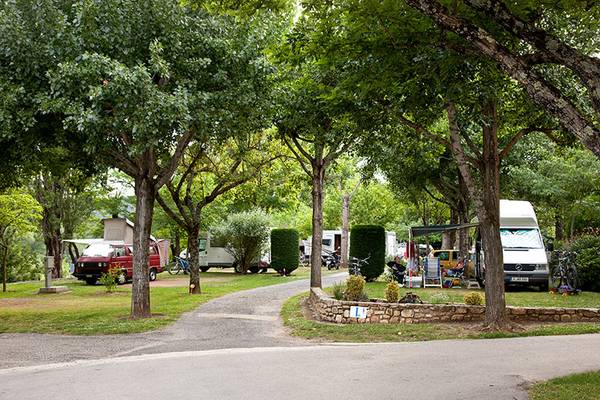 Camping con coches y autocaravanas estacionadas bajo los árboles