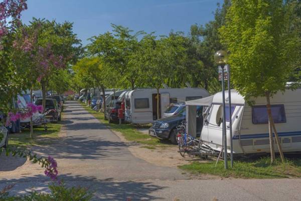 Campingplads med campingvogne og biler parkeret under træer