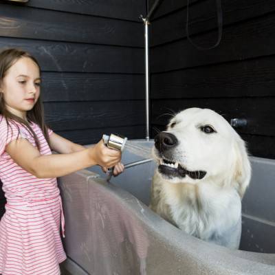 Ein Mädchen wäscht einen Hund in einer Badewanne auf dem Campingplatz.