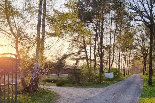 En grusvej, der fører til Sudsee-Camp-campingplads med træer på begge sider.