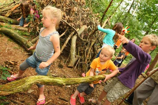 Kinder bauen ein Unterschlupf im Wald im Camping De Paal