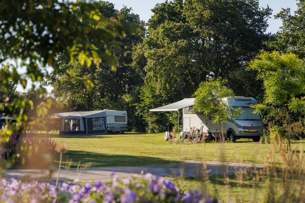 To autocampere parkeret på en campingplads med træer i baggrunden.