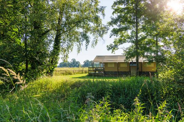 Camping under træerne i Vakantiepark De Twee Bruggen