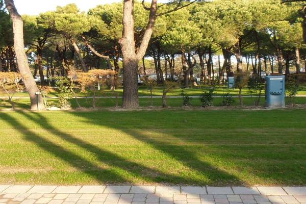 Camping met groen gebieden en bomen, Villaggio Turistico Internazionale.