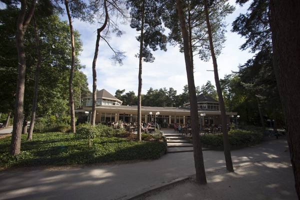 Terrasse des Camping De Paal, umgeben von hohen Bäumen, mit Menschen an Tischen sitzend.