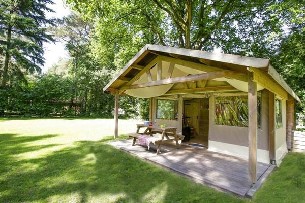 Eine kleine Holzhütte mit Tisch und Bank auf einer Holzterrasse, umgeben von einem Rasen und Bäumen.