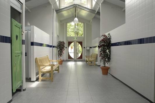 Interieur van Camping De Wildhoeve met houten banken en potplanten.