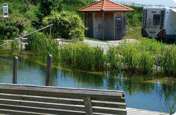 Camping Holmernhof Dreiquellenbad Kur- & Feriencamping avec un étang et un banc en bois.
