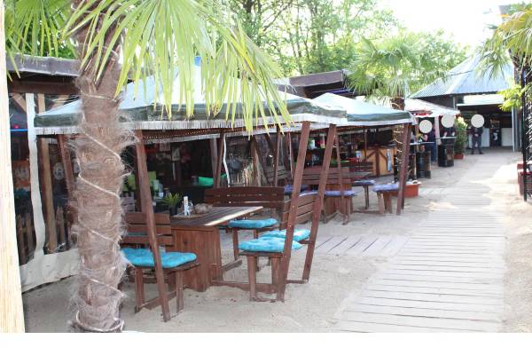Terrasse mit Tischen und Stühlen unter Palmen auf einem Campingplatz.