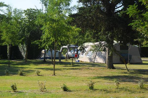 Campsite with tents under trees and a car parked nearby.