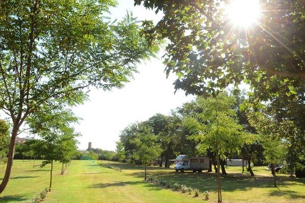 Campsite with a camper parked under trees.
