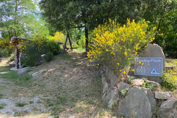 Campingplatz mit gelben Blumen und einem Schild, das Leading Pitch by Barco Reale besagt