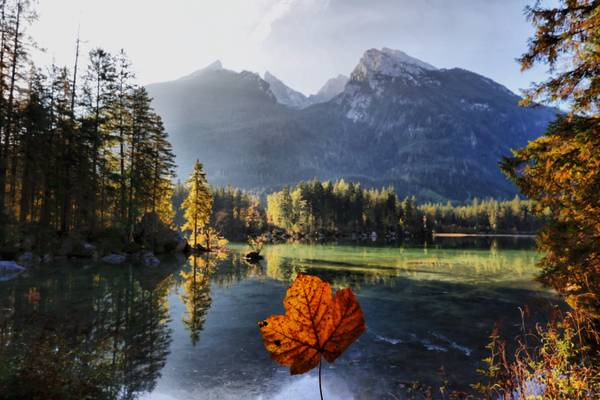 Herbstblatt vor einem Bergsee im Camping Resort Allweglehen.