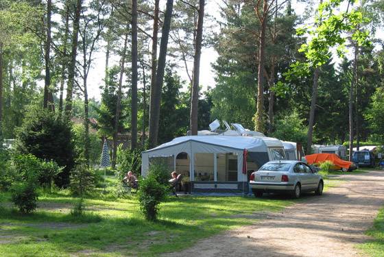 En campingplads med en telt og en bil parkeret i skoven.