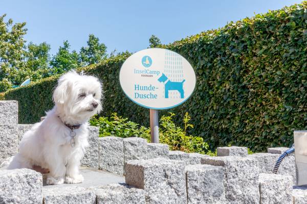 Señal de ducha para perros de Insel-Camp Fehmarn con un perro blanco