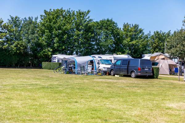 Camping con tiendas y vehículos en un campo de césped con árboles al fondo