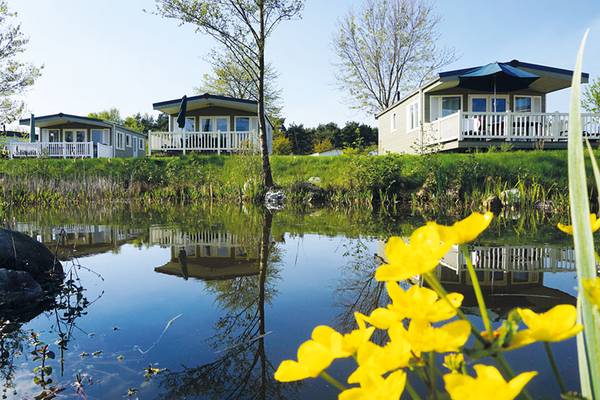Tre feriehuse ved Sudsee-Camp ved en dam med gule blomster