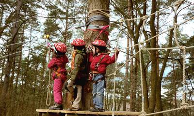 Camping- und Ferienpark Havelberge high ropes course for children